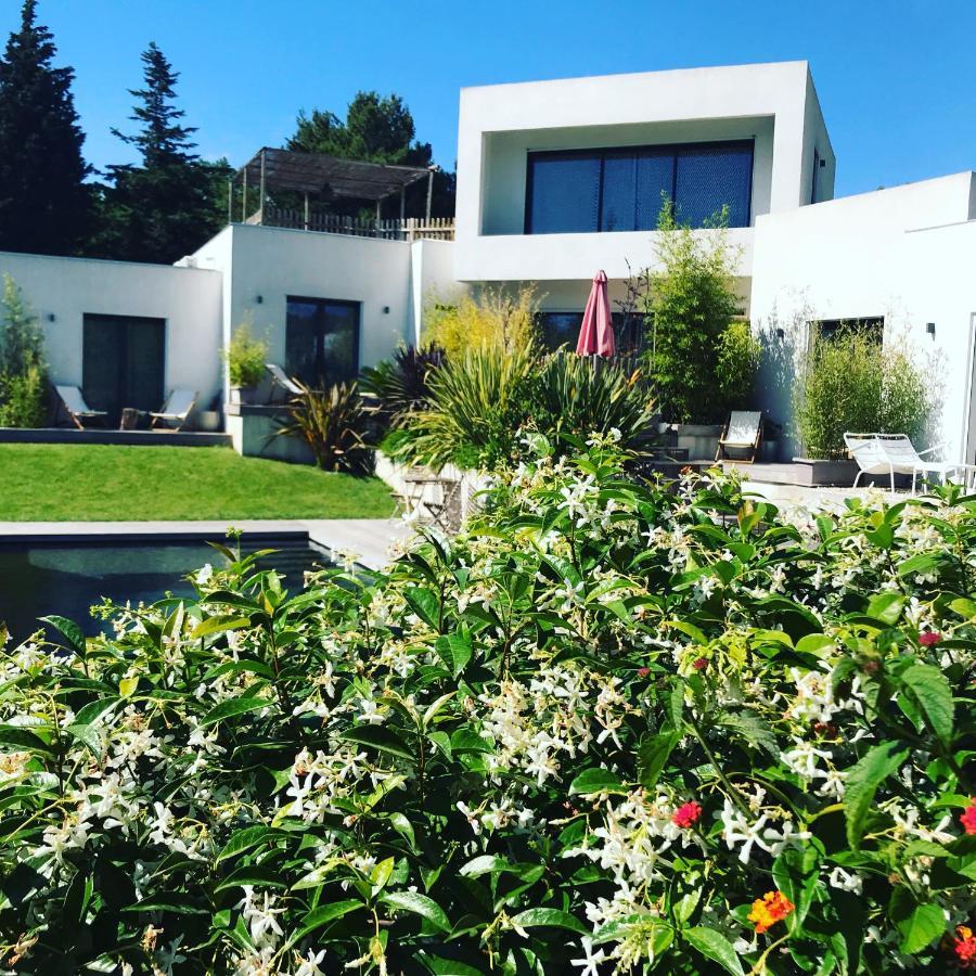 Villa Le Sud Cassis Zewnętrze zdjęcie